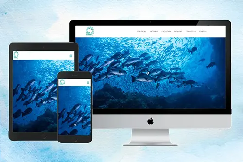 Fish Farm